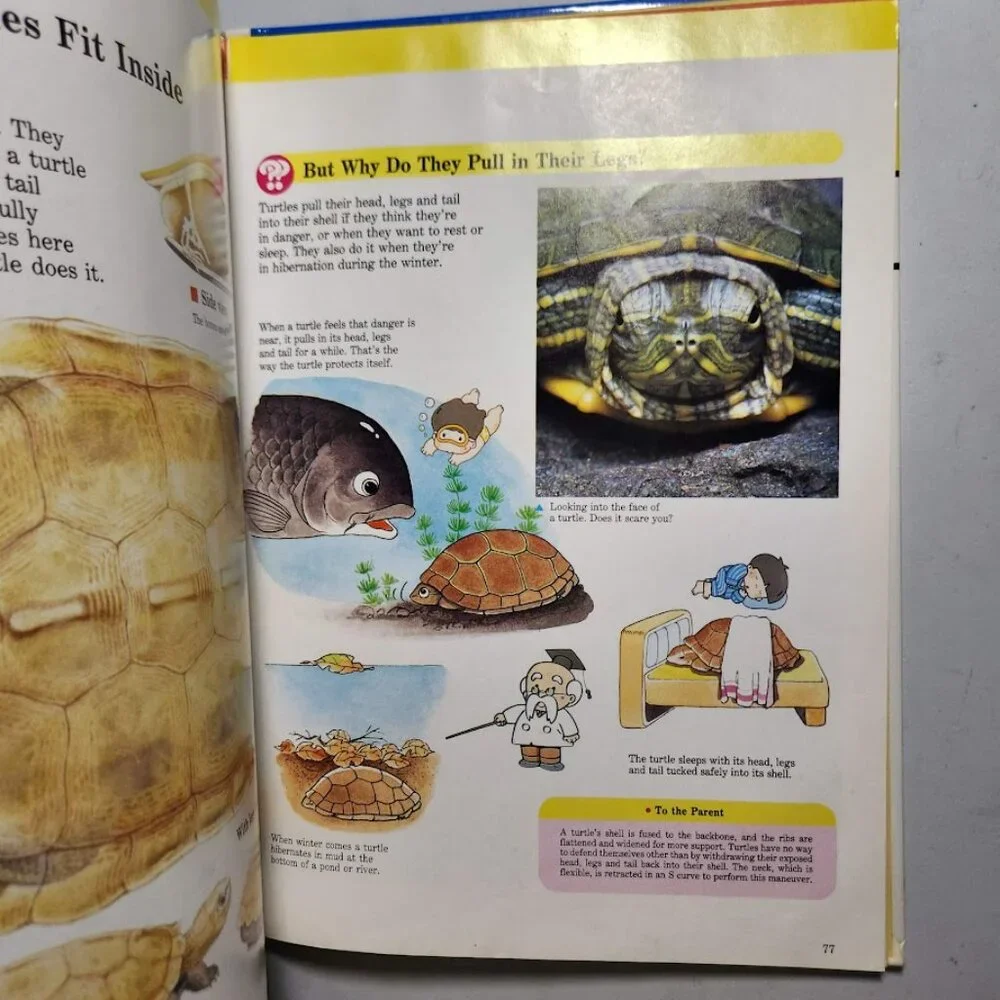Life in the Water Child's First Library of Learning Science Stem Book Homeschool